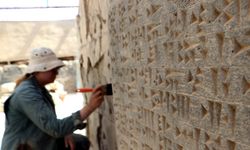 Urartu'nun DNA'sı araştırılıyor