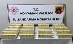 Kaçakçılık operasyonu: 2 şüpheli yakalandı