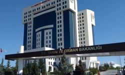 Tarım Bakanlığından gıda denetimi: 22 ürün listeye eklendi