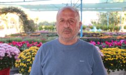 Bitki sezonu başladı: Kasımpatılar tezgâhlarda