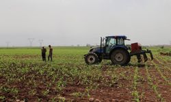 Tarımsal destek ödemeleri çiftçilerin hesaplarına aktarılıyor