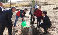 Beşiri’de 102 Fidan Toprakla Buluştu!