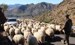 Göçerlerin aylarca süren zorlu göç yolculuğu başladı