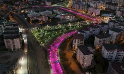 Batman Pembe Işıkla Umuda Yürüdü!