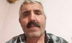Beslediği boğanın boynuz darbeleriyle öldü