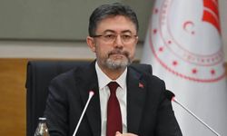 Bir yıl içinde 550 milyon fidan ve tohum toprakla buluşacak
