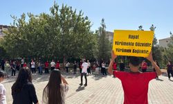 Gültepe Anadolu Lisesi Öğrencileriyle Farkındalık Etkinliği Gerçekleştirildi