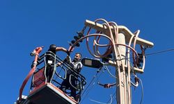 OSB’de Enerji Hatları  Bakım-Onarım Çalışmaları Sürüyor