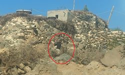 Mardin'de 2 aile arasında kavga; 4 yaralı, kaçan şüpheli aranıyor