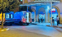 Mardin’de otomobilin çarptığı eşek ile üzerindeki kişi yaralandı