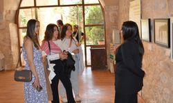 Mardin Kültür Yolu Festivali'ne yoğun katılım