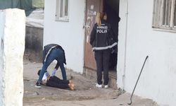 Narkotik köpekler ‘Mailo’ ve ‘Hector’ uyuşturucu operasyonuna katıldı