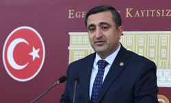 Ramanlı'dan çifte vatandaşlık kanun teklifi çağrısı