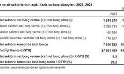 TÜİK: Devlet açığının GSYH'ye oranı 2024 yılında azaldı