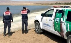 Van'da jandarma flamingo nöbetinde