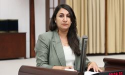 “DEM Partili Oduncu: Kültürel miras yerelden alınıp saraya devrediliyor”