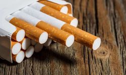 Akciğer kanserinin yüzde 85’inden sigara sorumlu!