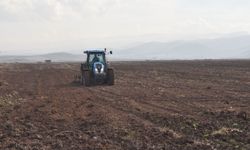 Batman'da yağışlar çiftçinin yüzünü güldürdü