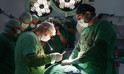 Organ nakli bekleyen hasta sayısı alarm veriyor!