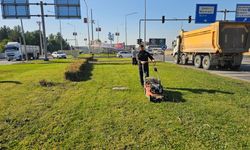 ÇİM BİÇME ÇALIŞMALARI DEVAM EDİYOR