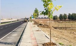 4.380 Metre Uzunluğundaki Bulvar Yeşillendiriliyor