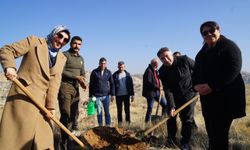 Batı Raman Kampüsünde Fidan Dikim Etkinliği