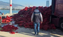 27 ton kaçak midye ele geçirildi