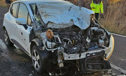 Önlemsiz şekilde duran kamyonet kazaya neden oldu