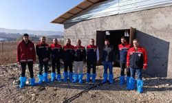 Siirt’te üreticiye destek amaçlı 48 angus gebe düve teslim edildi