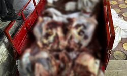 KAÇAK ET KESİMİNE CEZA