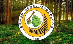 Orman Genel Müdürlüğüne 496 sözleşmeli personel alınacak
