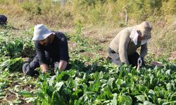 Üretiyoruz ama emeğimizin karşılığını alamıyoruz