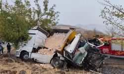 İki kamyon çarpıştı: 1 ölü, 1 ağır yaralı