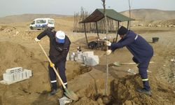 Mezarlığa Ağaç Dikim Yapıldı