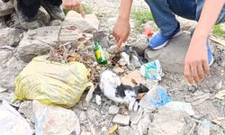 Madem Öldürtecektiniz, Neden Tedavi Ettiniz?