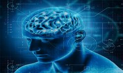 Oruç tutmak zihinsel performansı etkilemiyor