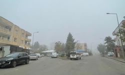 Batman’da Sabah Sisi Hayatı Olumsuz Etkiledi