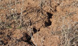 Çiftçi tarlaya giremiyor, kuraklık büyük tehdit oluşturuyor