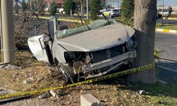 Ağaca çarpan otomobil ikiye bölündü: 2 ölü, 1 yaralı