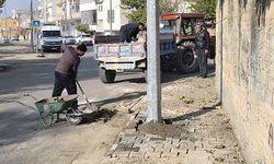 FEN İŞLERİ MÜDÜRLÜĞÜ ÇALIŞMALARINI SÜRDÜRÜYOR