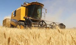 Eylülde tarımsal girdi fiyat endeksi arttı