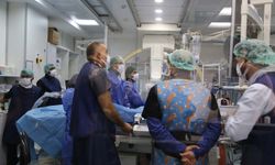 Çocuk kardiyoloji uzmanları deneyimlerini paylaştı