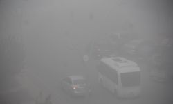 Batman'da yoğun sis: Görüş mesafesi metreleri buldu