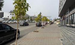 Turgut Özal Bulvarı’na Yeşil Dokunuş