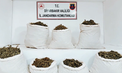 Helikopter ve İHA Destekli Narkotik Operasyonda 555 Kilo Uyuşturucu Ele Geçirildi: 25 Gözaltı