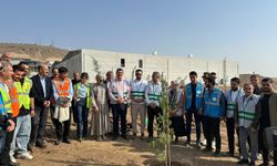 AK Parti OSB’de Ağaç Ekti