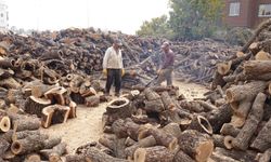 Yağışsız hava odun satıcılarını vurdu