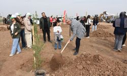 İl Müdürü Ciğer Öğrencilerle Birlikte Fidan Dikti