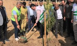 Batman’a olan sevdamız, yaptığımız hizmetlerle olur