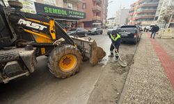 Batman’da Dev Temizlik Ordusu Sahaya İndi